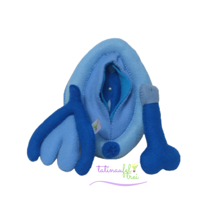 .Vulva de Feltro Didática Azul 15cm Feltrei!! - Image 2