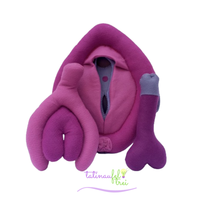 Vulva de Feltro Didática Penélope 25cm Feltrei!!