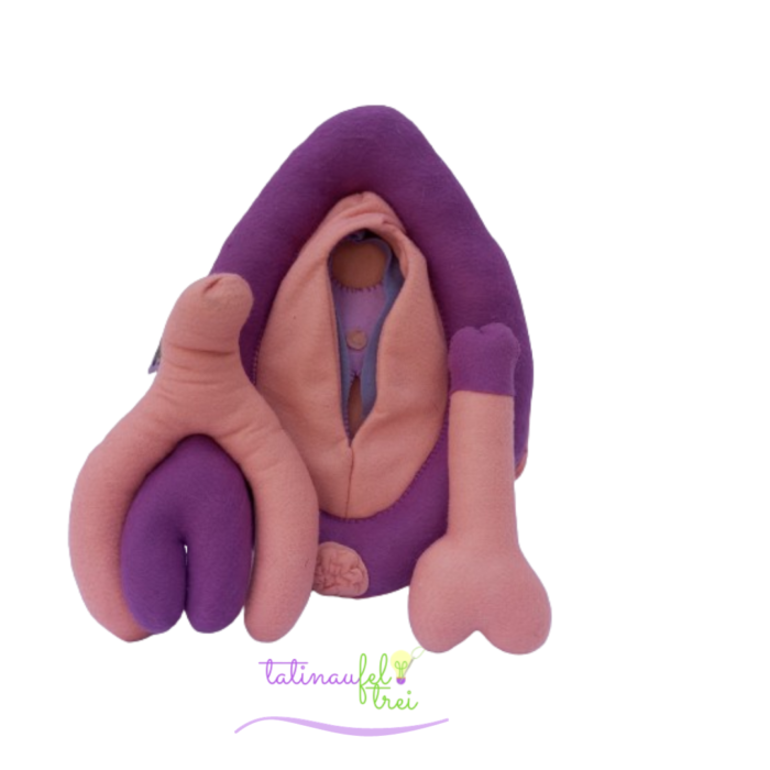 Vulva de Feltro Didática Salmão 25cm Feltrei!!