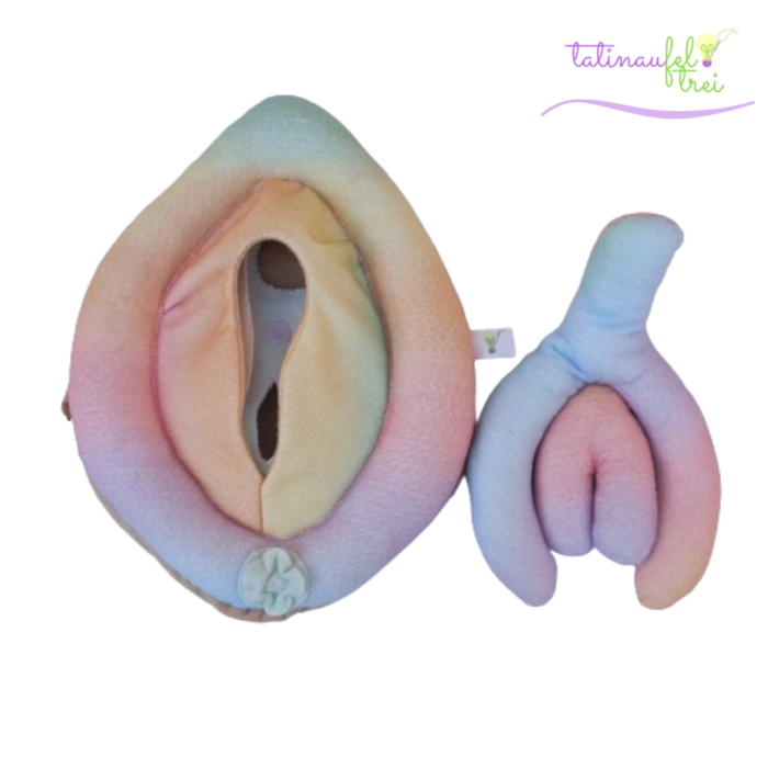 Vulva de Feltro Didática Arco - Íris 25cm Feltrei!!