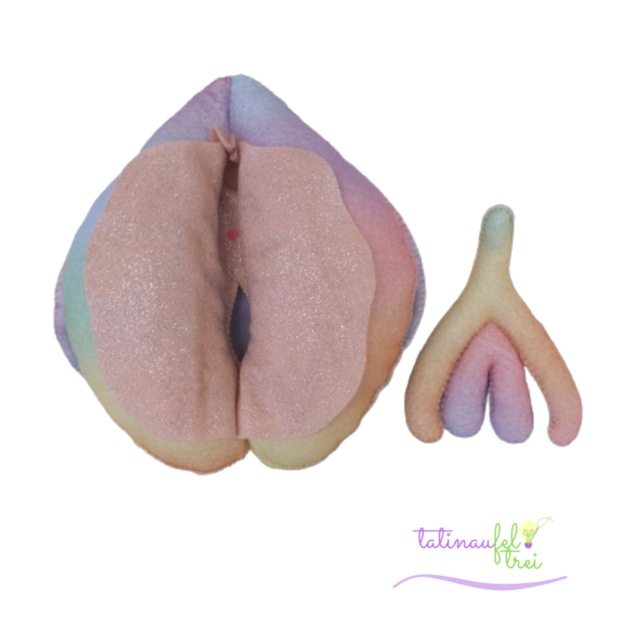 Vulva Didática Dua Arco Íris Feltrei!! - 20cm - Image 2