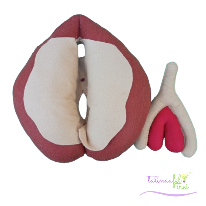 Vulva Didática Dua Marrom Feltrei!! - 20cm