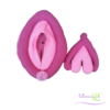 .Vulva de Feltro Didática Rosa e Pink 15cm Feltrei!! - Image 2