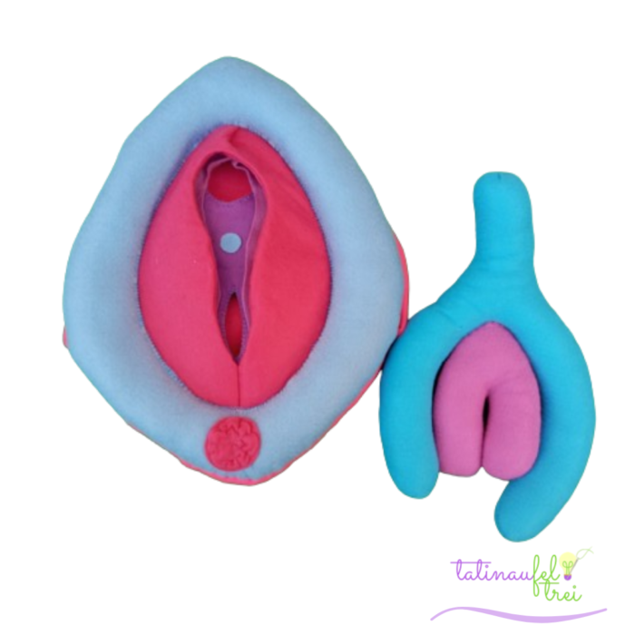 Vulva de Feltro Didática Azul e Pink 25cm Feltrei!! - Image 2