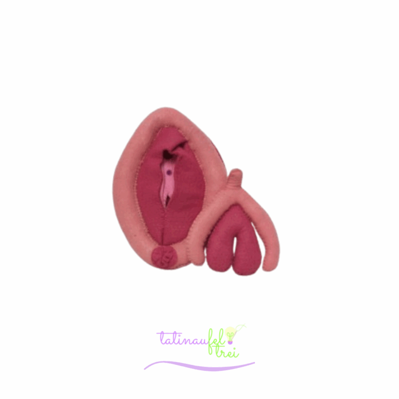 .Vulva de Feltro Didática Salmão com Pink 15cm
