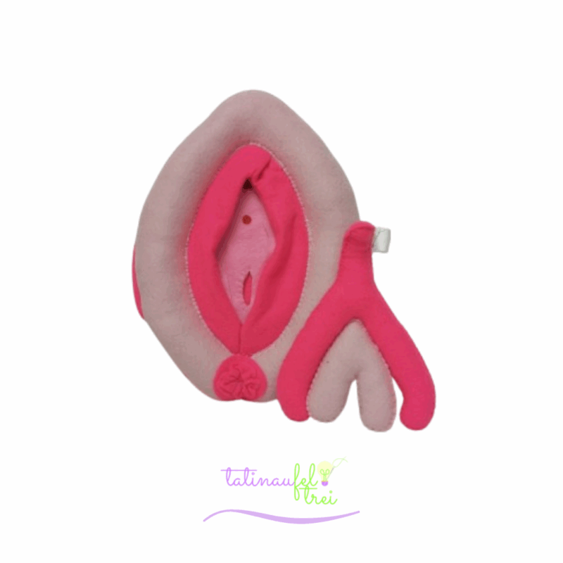 .Vulva de Feltro Didática Rosa com Rosa choque 20cm Feltrei!!