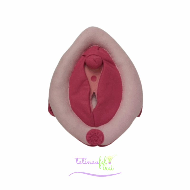 Vulva de Feltro Didática Rosa e pink 25cm Feltrei!!