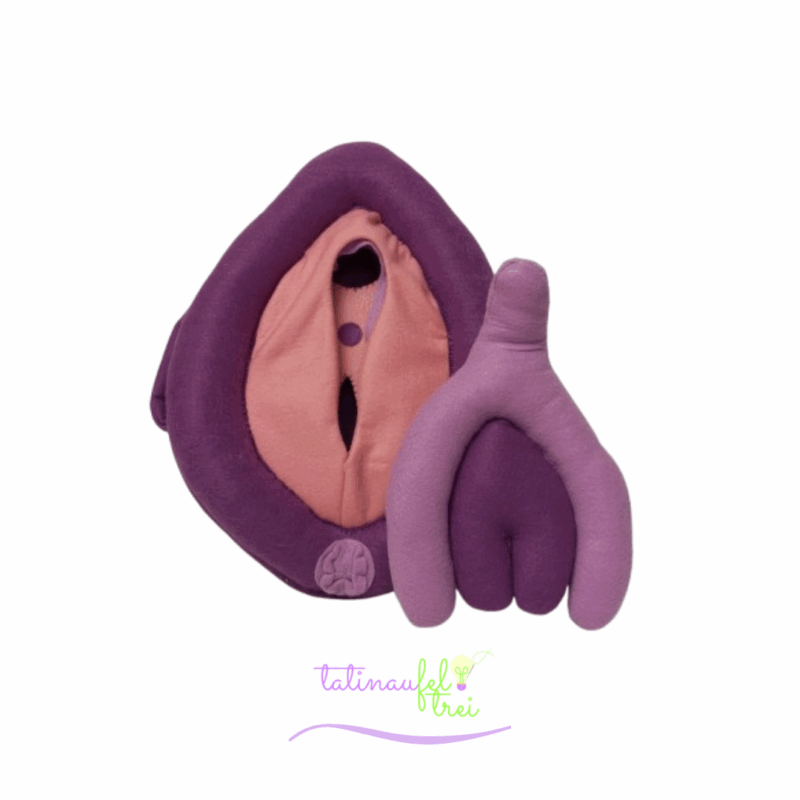 Vulva de Feltro Didática Roxa e salmão 25cm Feltrei!!