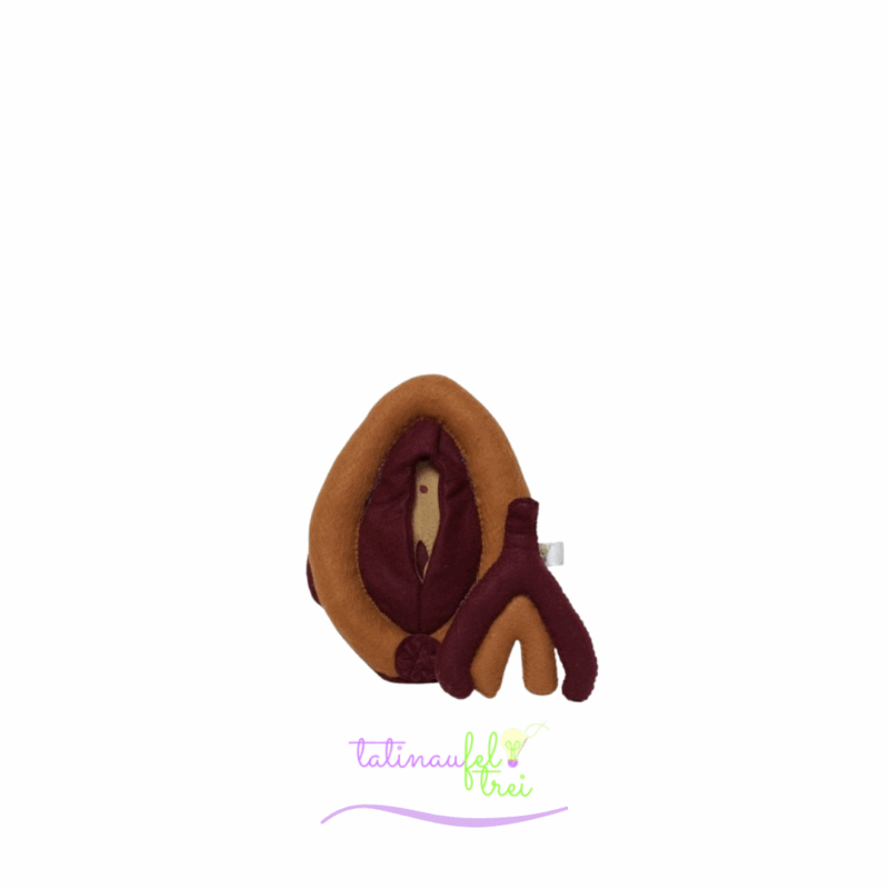 .Vulva de Feltro Didática Caramelho com Marrom 20cm Feltrei!!