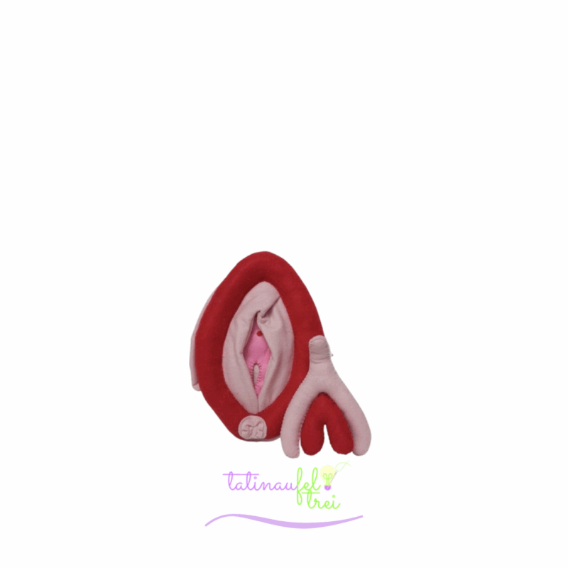 .Vulva de Feltro Didática Vermelha com rosa 20cm Feltrei!!