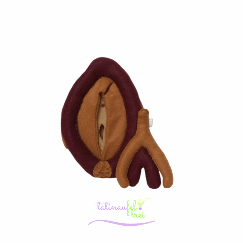 .Vulva de Feltro Didática Marrom e caramelo 20cm Feltrei!!