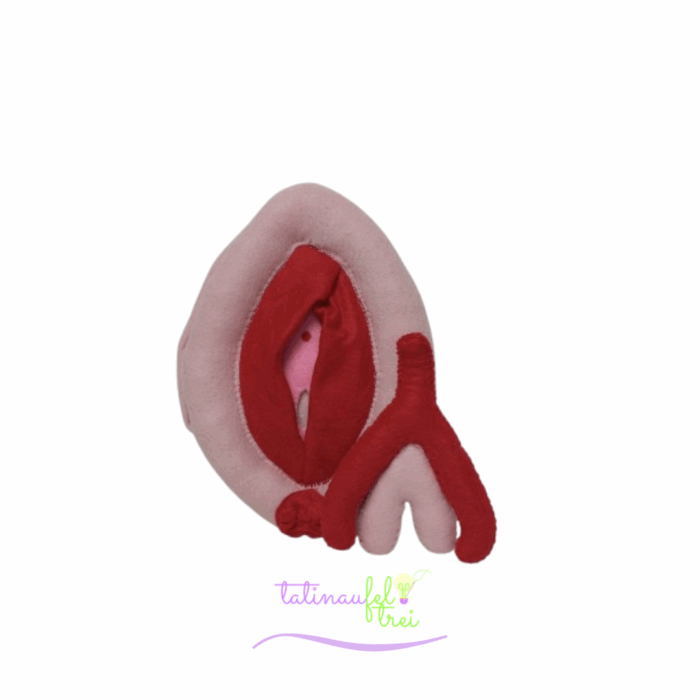 .Vulva de Feltro Didática Rosa com vermelho 20cm Feltrei!!