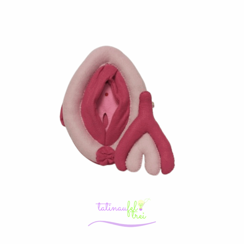 .Vulva de Feltro Didática Rosa com pink 20cm Feltrei!!