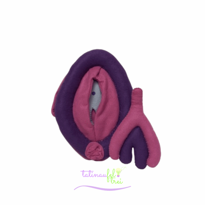 .Vulva de Feltro Didática Roxa com Pink 20cm Feltrei!!