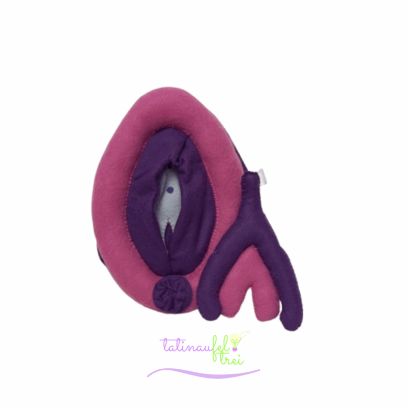 .Vulva de Feltro Didática Pink com roxo 20cm Feltrei!!
