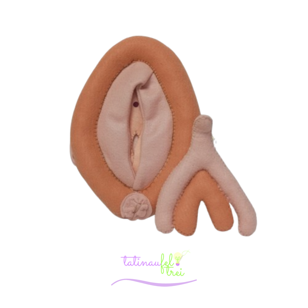 .Vulva de Feltro Didática Nude 20cm Feltrei!!