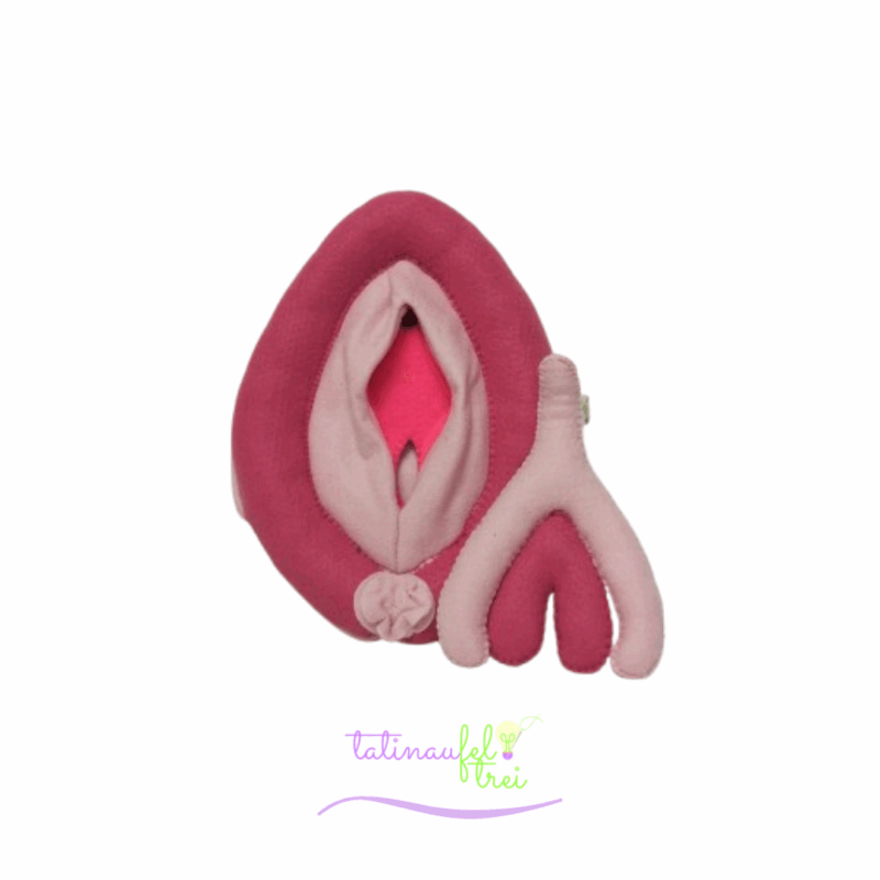 .Vulva de Feltro Didática Pink com rosa 20cm Feltrei!!