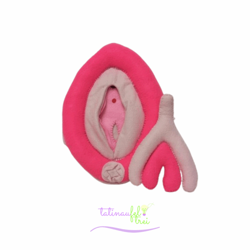 .Vulva de Feltro Didática Rosa choque com rosa 20cm Feltrei!!